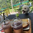 골프존파크 초전 시그니처점 | 진주 골프레슨 / 골프존파크 초전시그니처점 / 가격주차리뷰