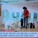 멍블리하우스 이미지