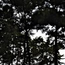 은빛모래야영장 이미지