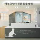 서울동물병원 이미지