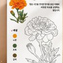 피코벨로
