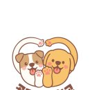 공감애견학교 유치원,호텔 네이버블로그
