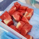 임포닭집 | [여름휴가 2] 먹어서 고성속으로~!