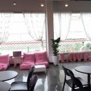 땡큐애견 이미지