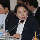 꽃돌이네 이미지