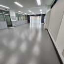 라이온 태권도 이미지