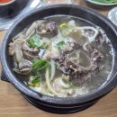 진국명가 | [2월 일상 기록_#09] 사천 진국명가, 모리커피 후기