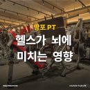 태장로-L | 망포PT 헬스가 뇌에 미치는 영향