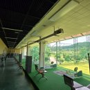 YOUNG 골프연습장 이미지