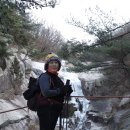 불광1-011 Daum카페