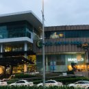 07.05. 노니, 깔라만시 비누 만들기 | 세부 아얄라몰 가는법, 맛집, 쇼핑 후기 꿀팁