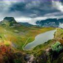 달빛구이 이미지