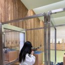 춘천공공사격장 이미지