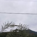 두레민박 이미지