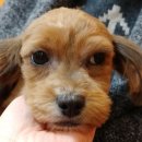 부일동물병원 이미지