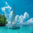 계절의기억 이미지