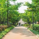 올리브영 등촌점 이미지