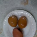 웰빙365다이어트 이미지