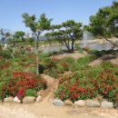 선월농장 이미지