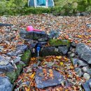 이마당약수터 이미지