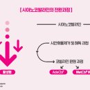 메디컬나라약국 이미지