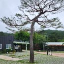 워크안산BBQ 이미지