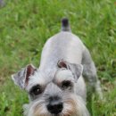 멍이로움 이미지