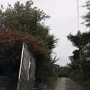 몽이펫 | 🐾 대구 근교 경산 애견동반 독채 숙소 | 아이피댕 내돈내산 후기🩵 몽이랑 여행