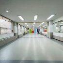 강철 태권도 | 도곡동태권도 강남구 최고의 태권도 학원, 강철태권도 후기