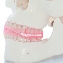 일미치과의원 이미지