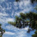 서울과학기술대학교 이미지