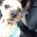 이개누구개 이미지