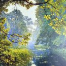 티엔씨파트너스