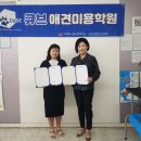 (주)브이아이펫 이미지