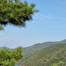 소나무와 호수 이미지