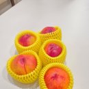 승주농장 | 여름과일 복숭아 최강자! 산지직송 승주농장 썬프레 복숭아 리얼 후기