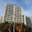 삼락택지길 이미지