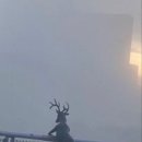 평티 이미지