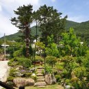 나래관광펜션 이미지