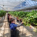 동부초등학교병설유치원 이미지