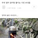 더장작 이미지