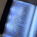 현주LED