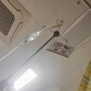 대전센텀병원 | 발목 인대 재건술 (MBO) 상세한 후기(대전센텀병원)