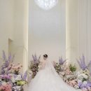 행복담아 | 팔레드오페라 가르니에홀 본식 후기 / 여백스냅이 담아준 가장 행복한 순간 , 보정 후