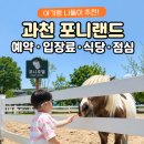 도도마케팅 | 과천 포니랜드 예약 방법부터 입장료·식당까지, 아기랑 다녀온 솔직 후기