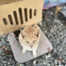 커피먹고가세 이미지