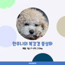 한주동물병원 이미지