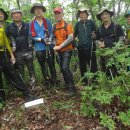 거석회관 이미지