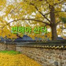 진솔산림기술사사무소 이미지