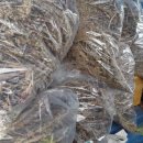 문헌농장 이미지